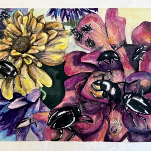 Bugs