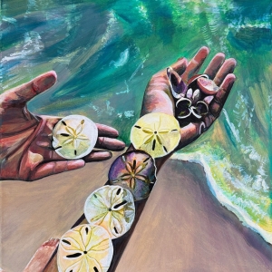 Sand-Dollar