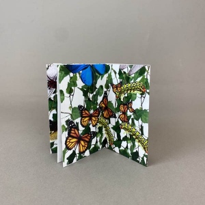 Gardner_Book_13