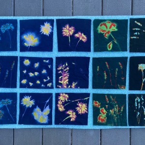 Flower Cyanotype